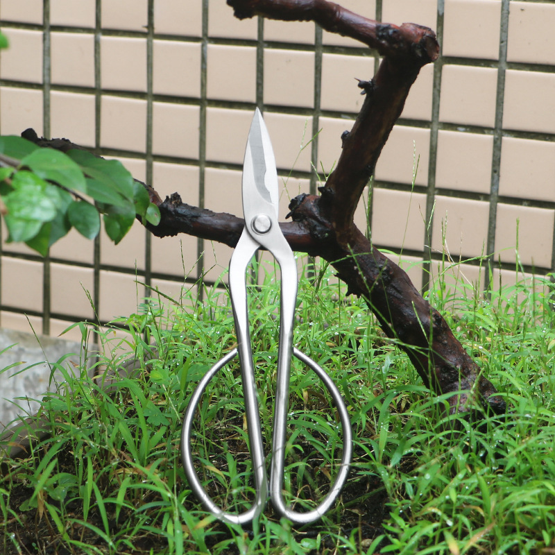 Concave Branch Cutter - Volledig stalen tuinschaar, gebladerte, spruiten, bloemenschaar,