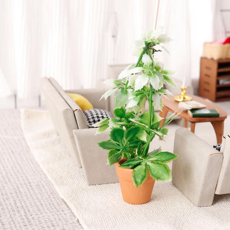 1/12 Poppenhuis Simulatie Groe - Bonsai Garden Decor recensie en prijs