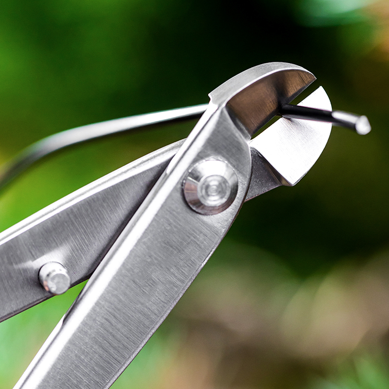 Professionele Bonsai Gereedsch - Concave Branch Cutter recensie en prijs