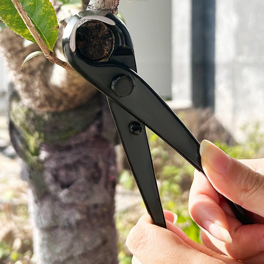 Bonsai Concave Tak Cutter Mang - Concave Branch Cutter recensie en prijs
