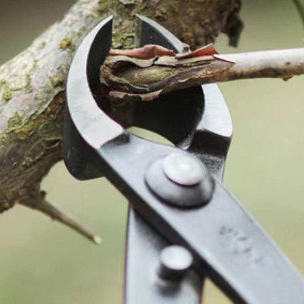 Bonsai Concave Tak Cutter Mang - Concave Branch Cutter recensie en prijs