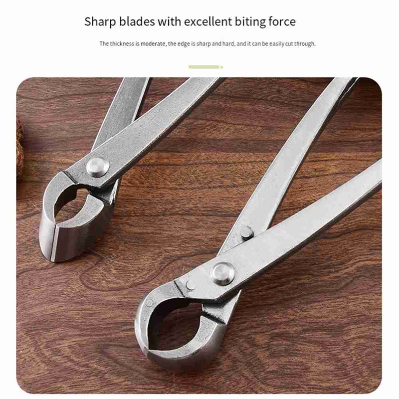 SHGO-Bonsai Boomgereedschapset - Concave Branch Cutter recensie en prijs