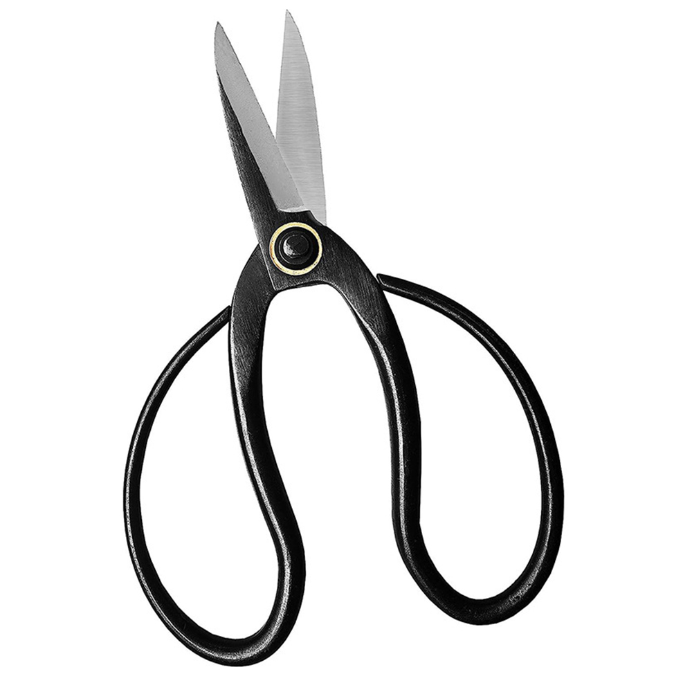 Professionele Bonsai Schaar Tr - Concave Branch Cutter recensie en prijs