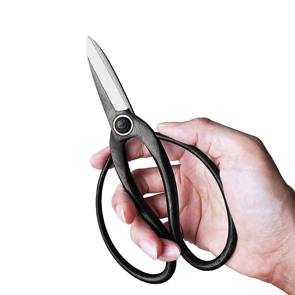 Professionele Bonsai Schaar Tr - Concave Branch Cutter recensie en prijs