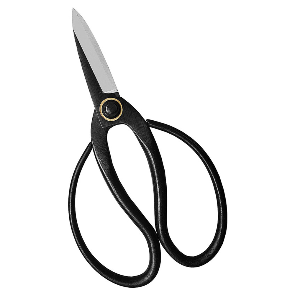 Professionele Bonsai Schaar Tr - Concave Branch Cutter recensie en prijs