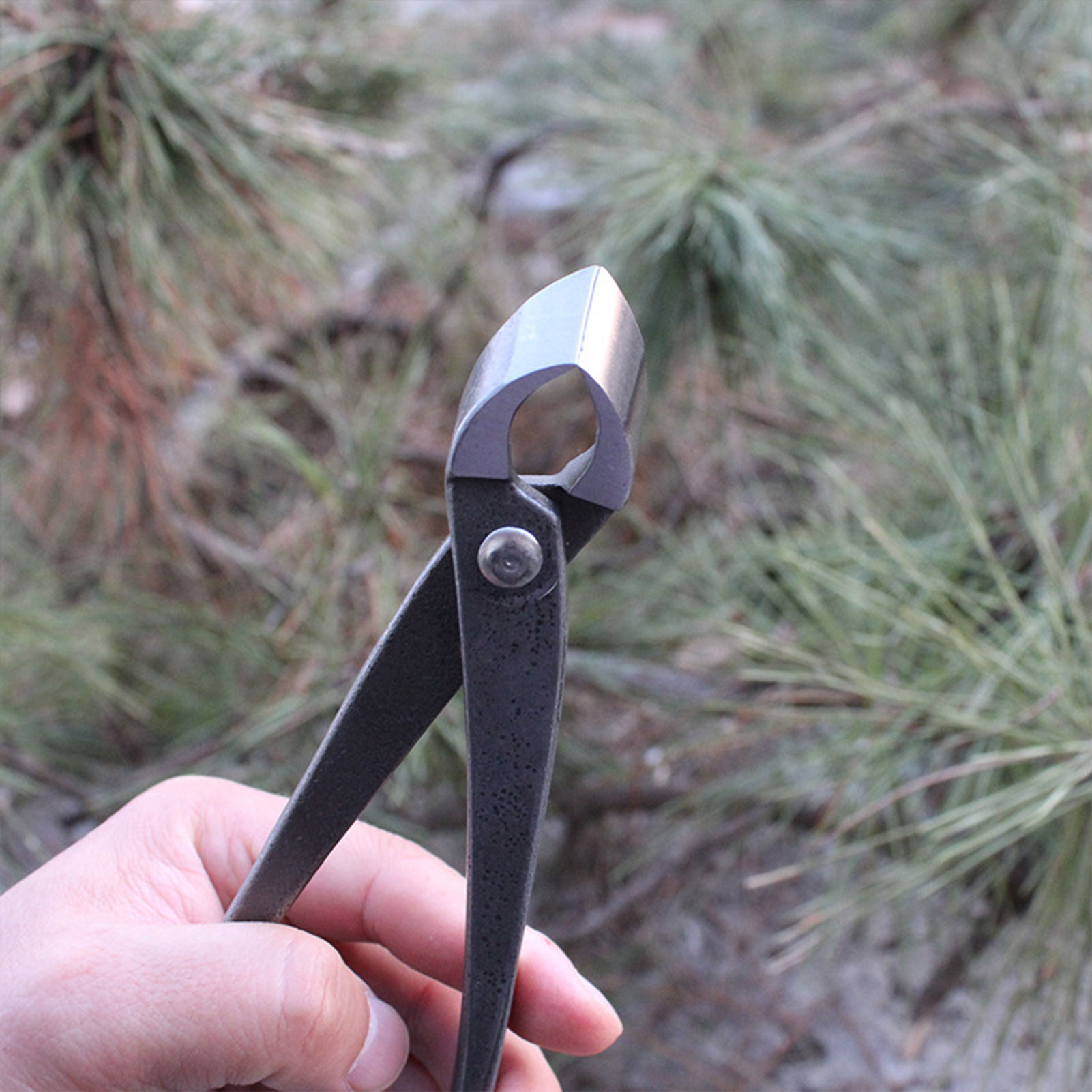 Tuin Bonsai Knop Cutter Concav - Concave Branch Cutter recensie en prijs