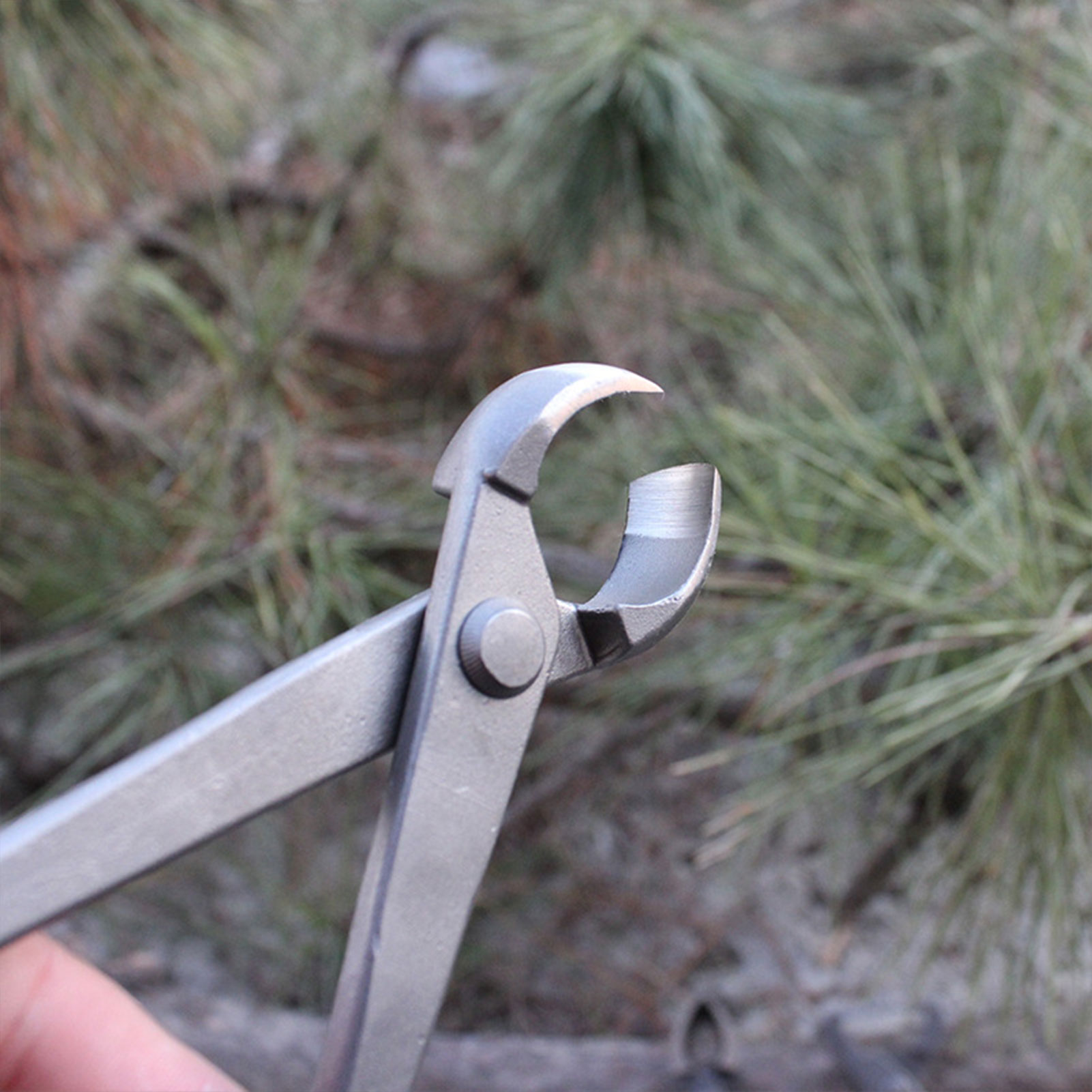 Tuin Bonsai Knop Cutter Concav - Concave Branch Cutter recensie en prijs
