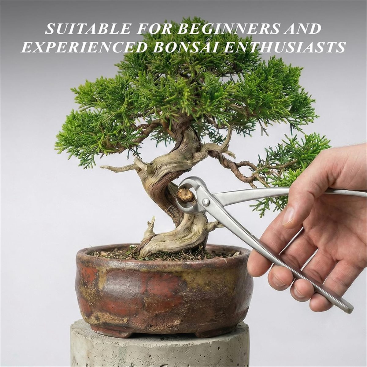 AWAH Bonsai Gereedschapset - 3 - Concave Branch Cutter recensie en prijs