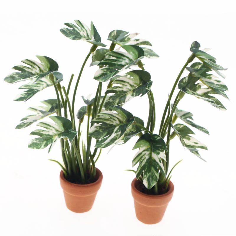 New.1PC 1/12 Poppenhuis Simula - Bonsai Garden Decor recensie en prijs