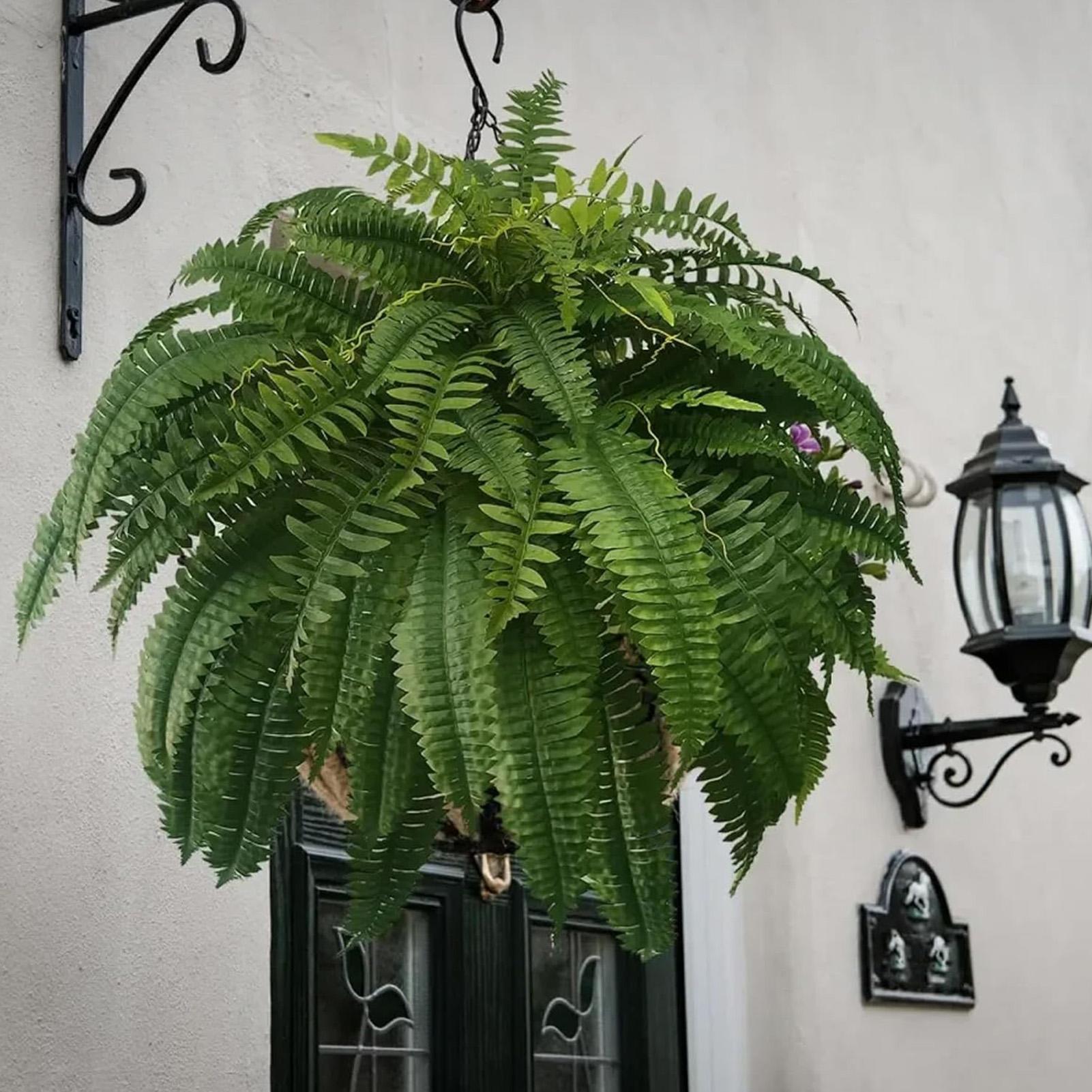 Kunstmatige Boston Fern nep pl - Bonsai Garden Boston recensie en prijs